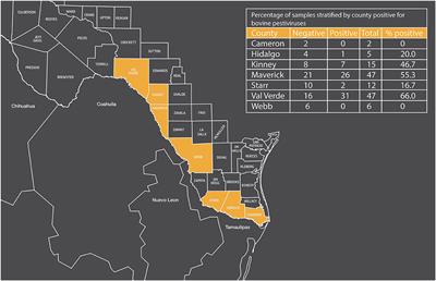 A Serosurvey for Ruminant Pestivirus Exposure Conducted Using Sera From Stray Mexico Origin Cattle Captured Crossing Into Southern Texas